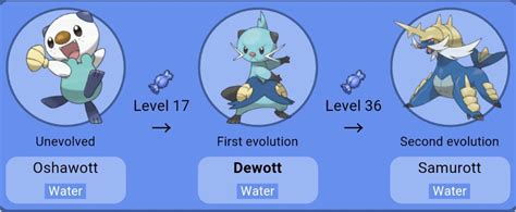 what level does dewott evolve|dewott gen 5 typing.